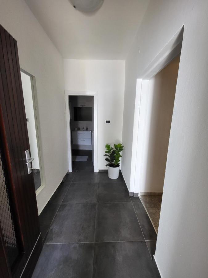 Apartments Vukovic セルツェ エクステリア 写真